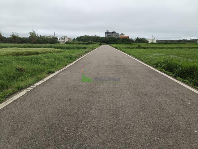 大園農地-2