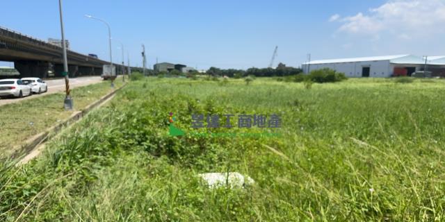 桃園大園農地-1